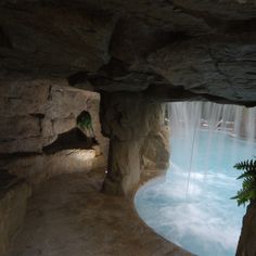 a pool in the middle of a cave with water coming out of it and some plants growing inside