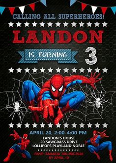 the spiderman birthday party is going on