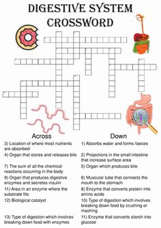 a crossword puzzle with words and pictures on the page, which includes an image of food