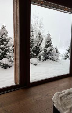 snow covered trees are seen through the open window