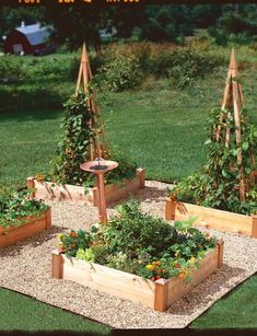 several wooden planters with plants in them on a patch of gravel next to grass