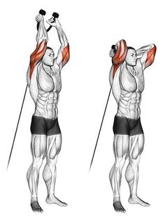 an image of a man doing exercises for back and shoulder muscles on the same side