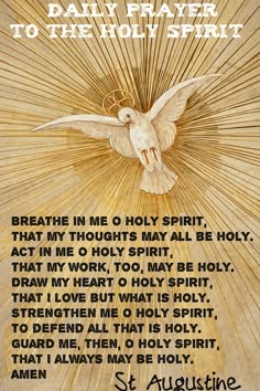 DAILY PRAYER TO THE HOLY SPIRIT… Prayer To The Holy Spirit, Holy Spirit Prayer, Come Holy Spirit, A Course In Miracles, Christian Prayers, Prayer Verses, Daily Prayers, Prayer Scriptures