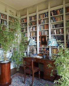 the room has many bookshelves and plants in it, as well as a desk