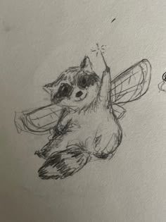 a drawing of a raccoon with a butterfly on its back