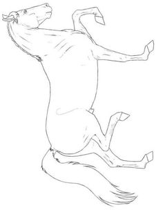 a drawing of a horse jumping in the air with its front legs spread out and one leg