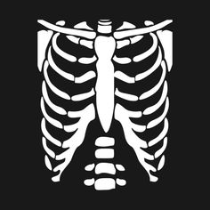 the skeleton is shown in white on a black background