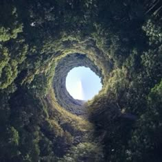 an aerial view of the inside of a tree - lined forest with a circular hole in the middle