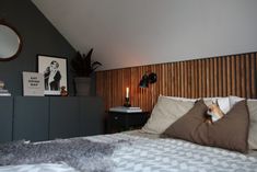 a dog laying on top of a bed in a bedroom