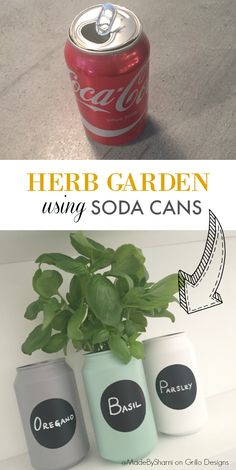 three soda cans sitting on top of a table next to a plant in a can