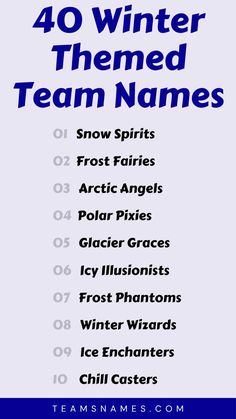 the 40 winter themed team names