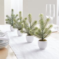 three white vases filled with green plants on top of a table next to plates and silverware