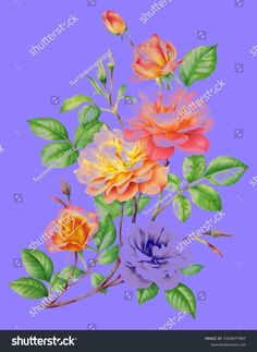 colorful flowers with green leaves on a purple background stock photo edit to be used as an image