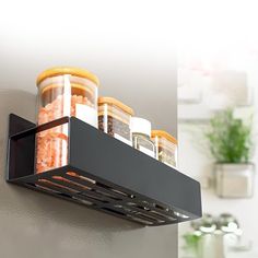 a shelf that has some jars and spices in it on the wall next to a potted plant