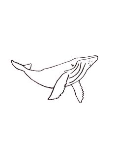 a black and white drawing of a whale