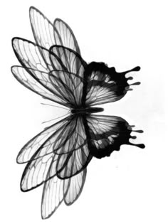 a black and white photo of a butterfly flying in the air with its wings spread out