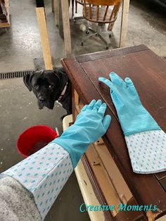 a black dog sitting on top of a wooden table next to a person wearing blue gloves