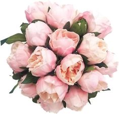 a bouquet of pink flowers on a white background