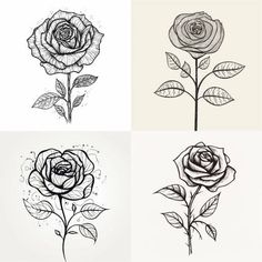 four different types of roses with leaves