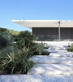 a white house surrounded by trees and plants