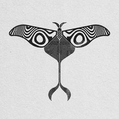 a black and white drawing of a moth on a piece of paper with lines in the shape of circles