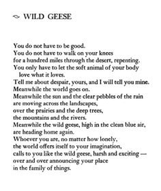 a poem written in black and white with the words wild gese on it's side