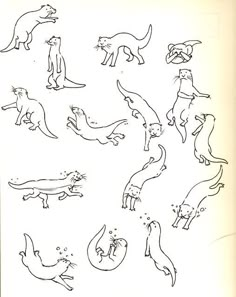 an open book with drawings of otters