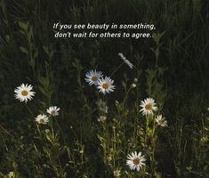 some white daisies in the grass with a quote on it that says, if you see beauty in something, don't wait for others to agree