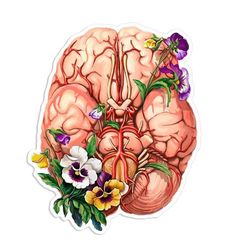 an image of the human brain with flowers on it's side and purple pansies in the middle