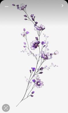 purple flowers on a white background with the text,'i am not sure what this is