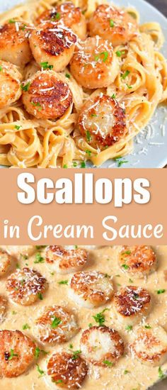 shrimp scallops in cream sauce on a plate