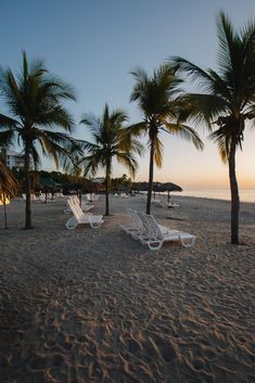 two lawn chairs sitting on top of a sandy beach next to palm trees and the ocean