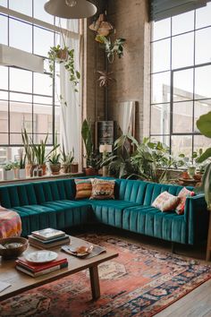 a living room filled with furniture and lots of plants on the windows sills