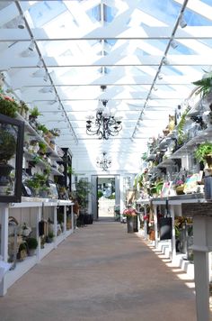 the inside of a greenhouse filled with lots of potted plants and hanging chandeliers