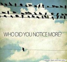 there are many birds sitting on power lines with the words who did you notice more?