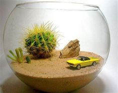 a small yellow car is in a fish bowl with cacti and succulents