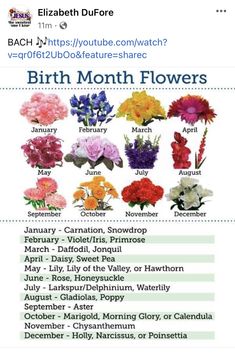 an image of flowers that are in the middle of a twitter post for birth month flowers