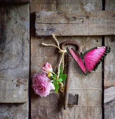 a pink butterfly sitting on top of a wooden door