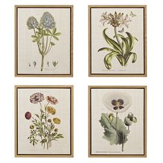 four framed floral prints in various shapes and sizes, each with different flowers on them