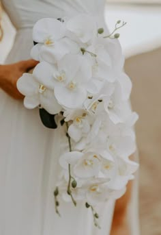 a bride holding a bouquet of white orchids