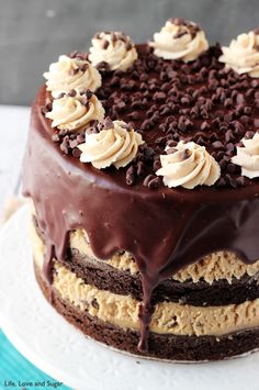 a chocolate cake with frosting and cookies on top