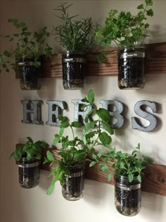 some plants are growing in mason jars on a wooden shelf with the word herbs above them