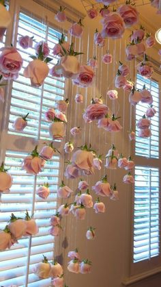 pink roses hanging from the ceiling in front of windows with shutters and blinds behind them