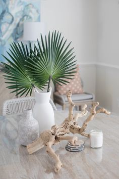 Blooms & Branches Twisted Wood Branch Megan Molten, Styled Kitchen, Palm Branch, Pretty Candle, Driftwood Branch, Fan Palm, Wood Branch, Cheap Flowers, Coastal Modern