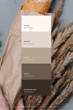 Luxury colour palettes for your brand or Squarespace site Website Color Schemes, Canva Instagram Templates, Pantone Colour Palettes, Modern Color Palette, Earthy Color Palette, Brand Color Palette