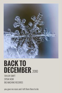 the back to december 2010 flyer with snowflakes