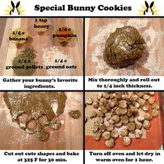 instructions on how to make homemade bunny cookies