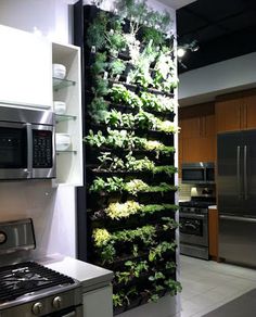 an instagram photo of a kitchen with plants growing on the wall and appliances in the background