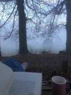 a person sitting on a bench reading a book and holding a coffee cup in front of them