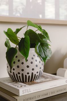 a potted plant sitting on top of a stack of books